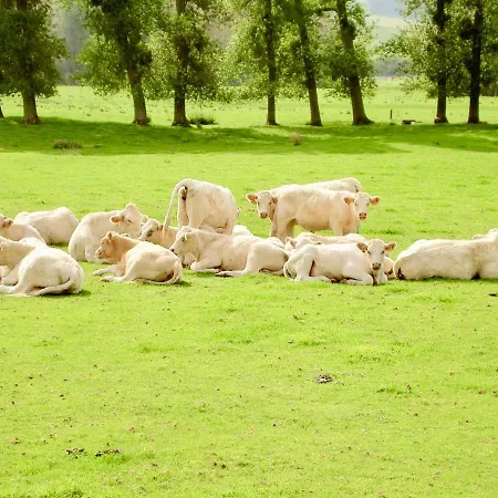 Chateau De La Vallee, Normandy *
